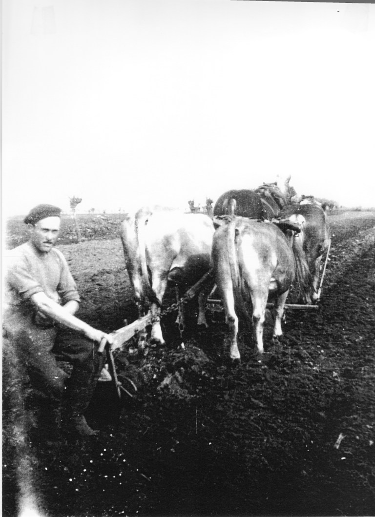 Aratura in zona Bertacciola
